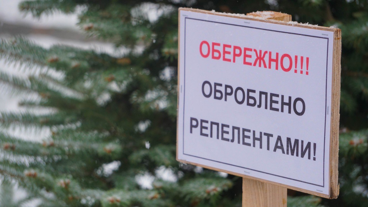 КИЇВ24