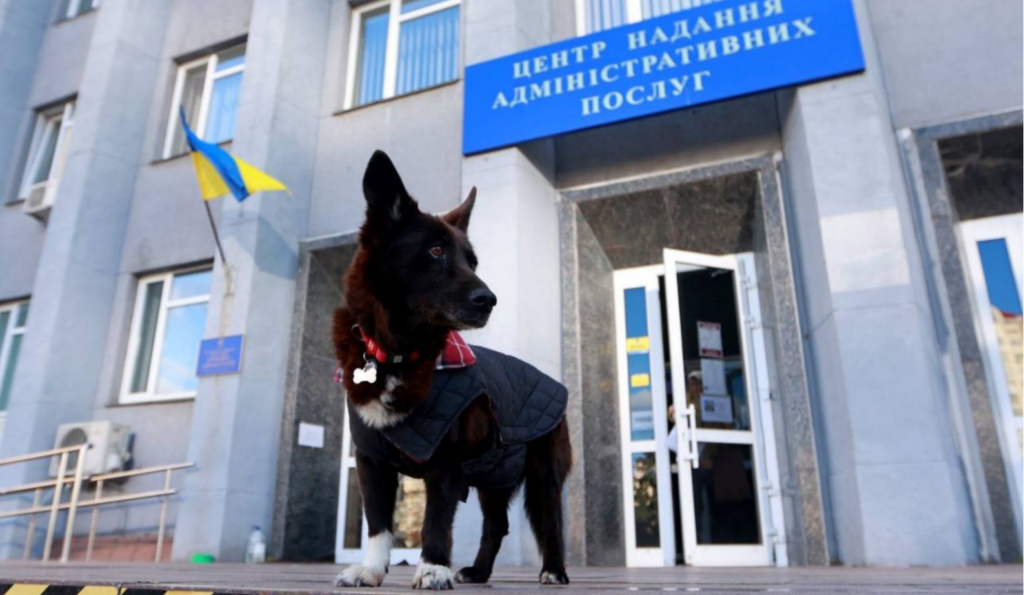 КИЇВ24