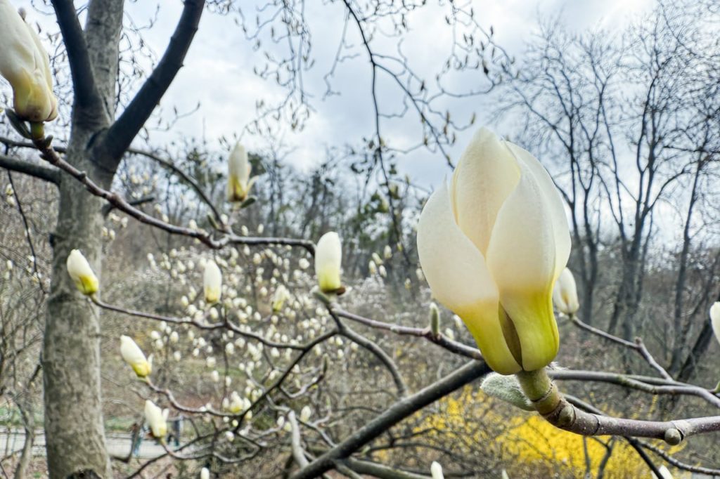 КИЇВ24