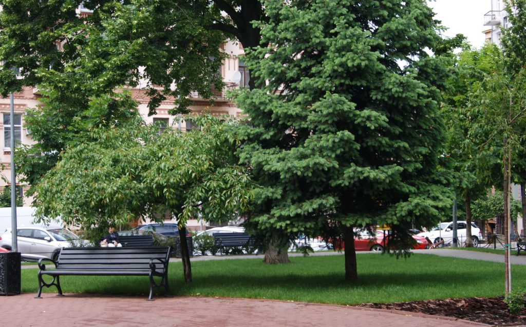 КИЇВ24