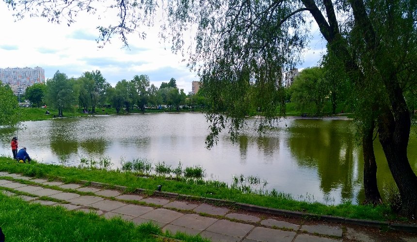 КИЇВ24