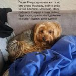 КИЇВ24