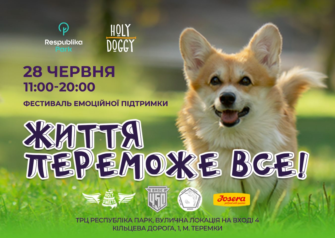 КИЇВ24