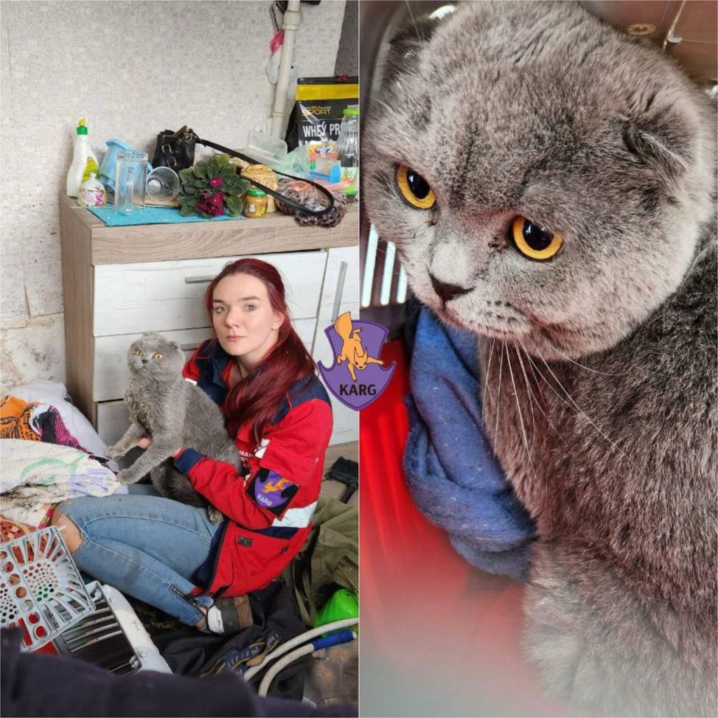 КИЇВ24