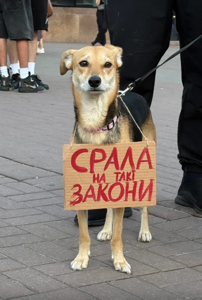КИЇВ24