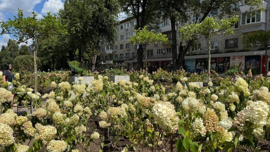 КИЇВ24