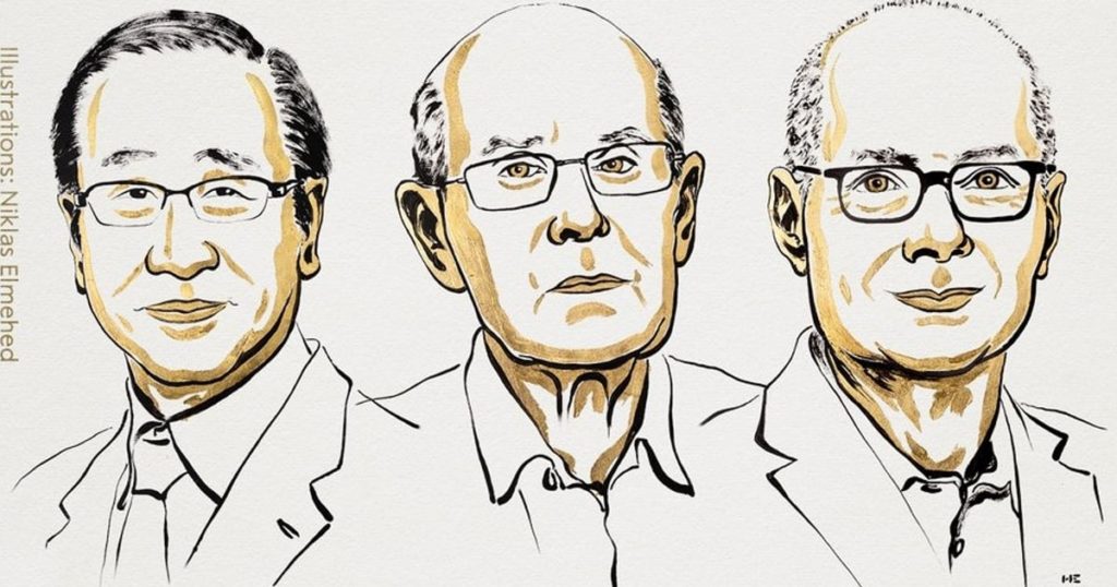 КИЇВ24