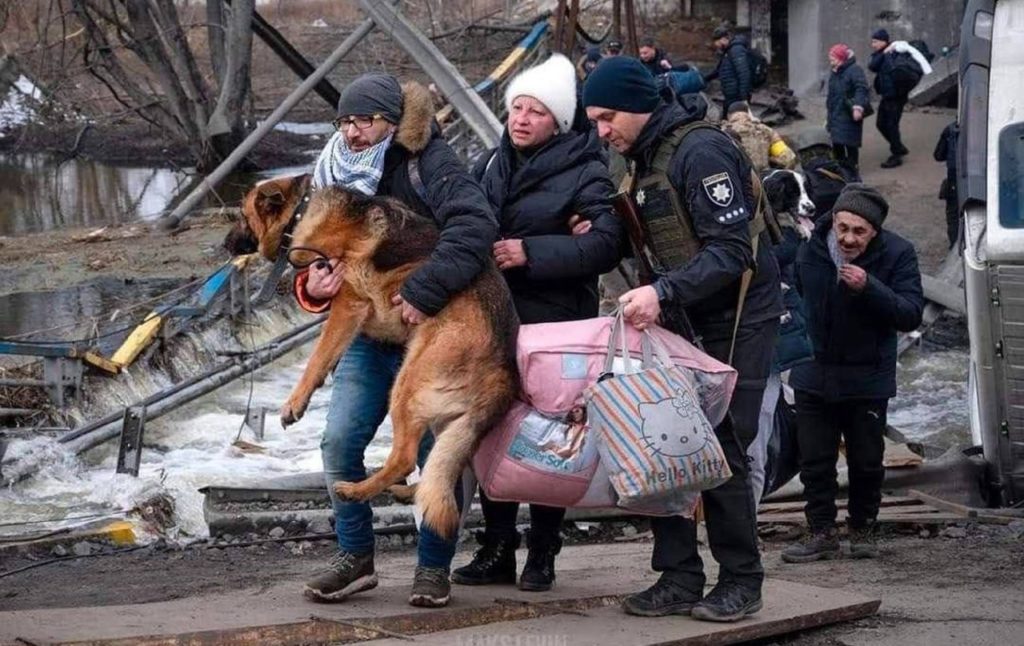 КИЇВ24