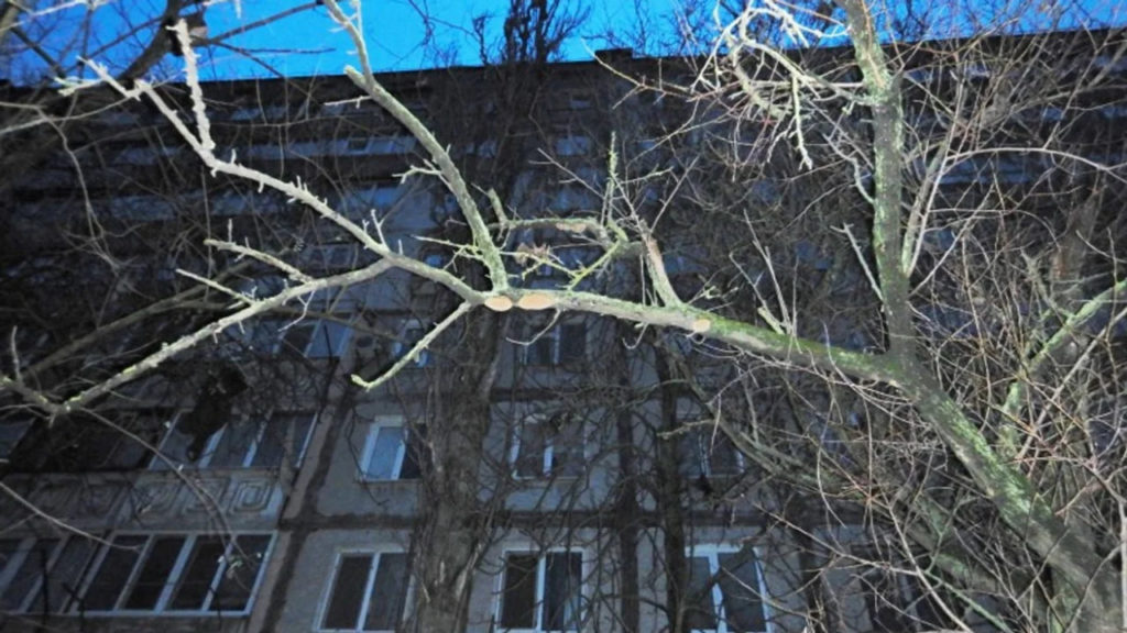 КИЇВ24