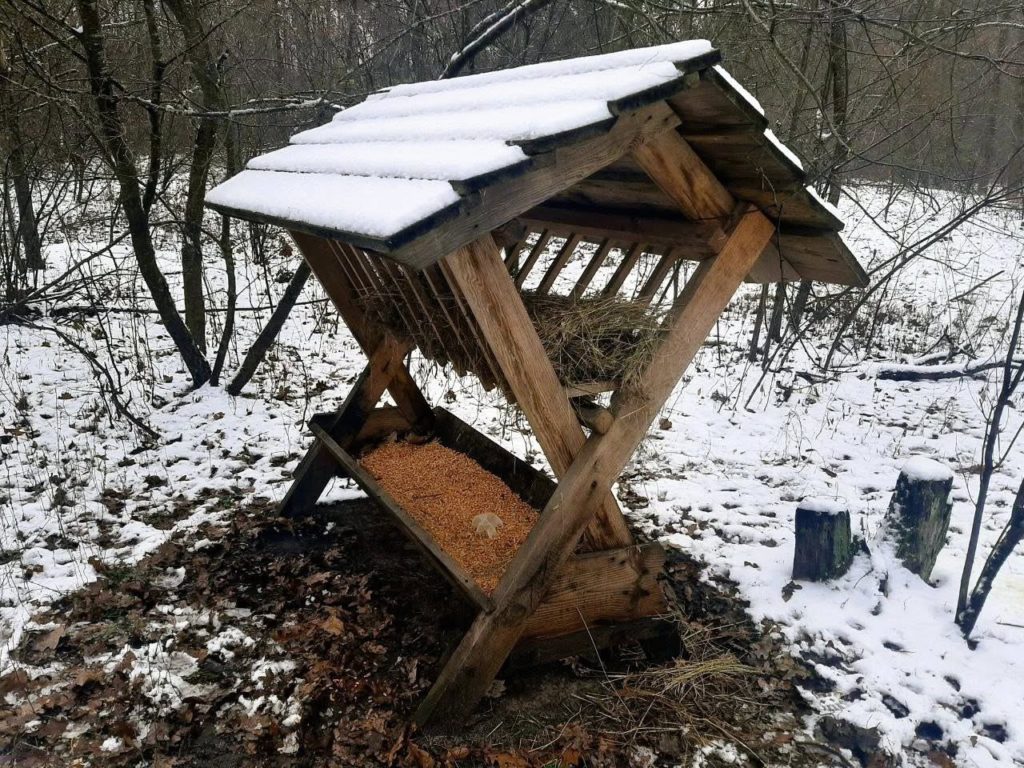 КИЇВ24