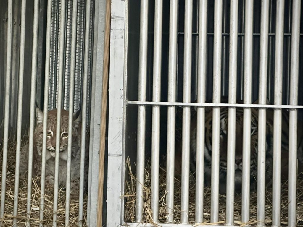 КИЇВ24