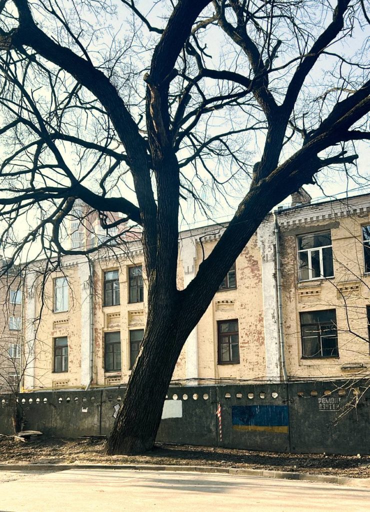КИЇВ24