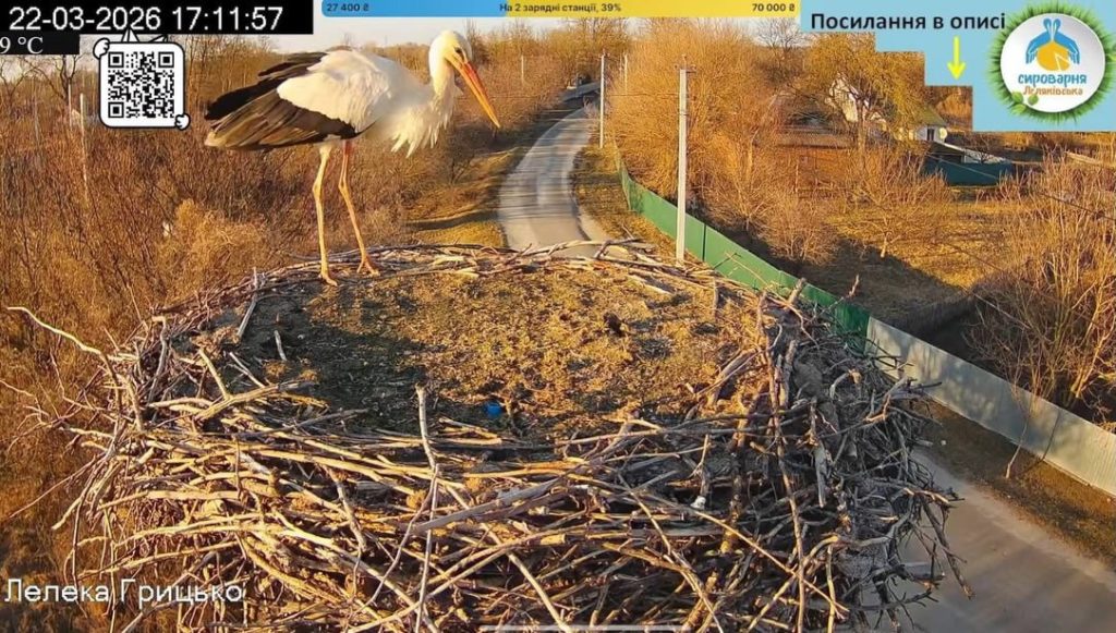КИЇВ24