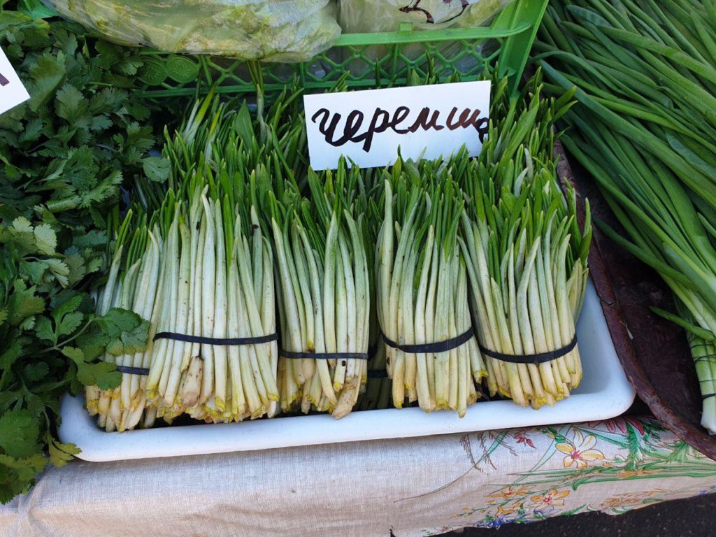 КИЇВ24