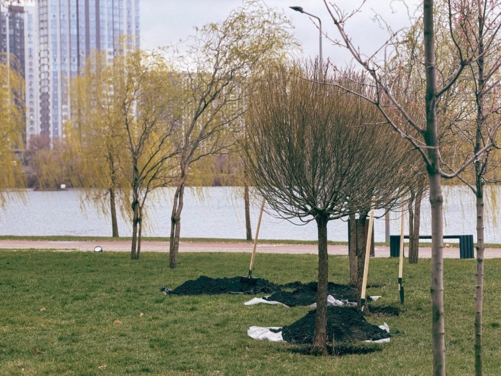 КИЇВ24