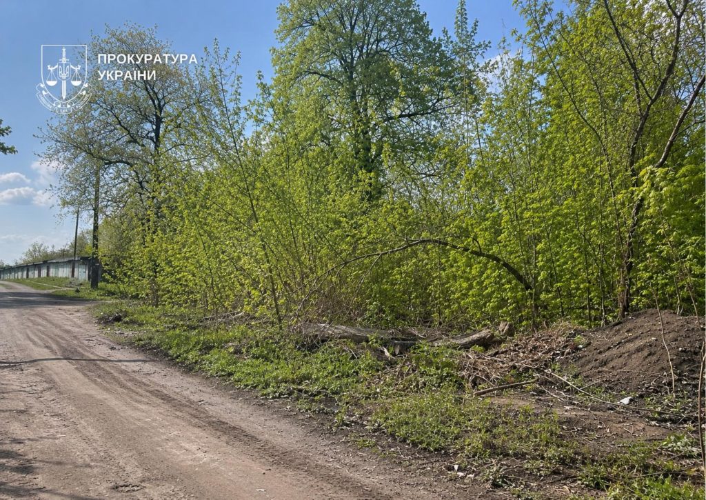 КИЇВ24