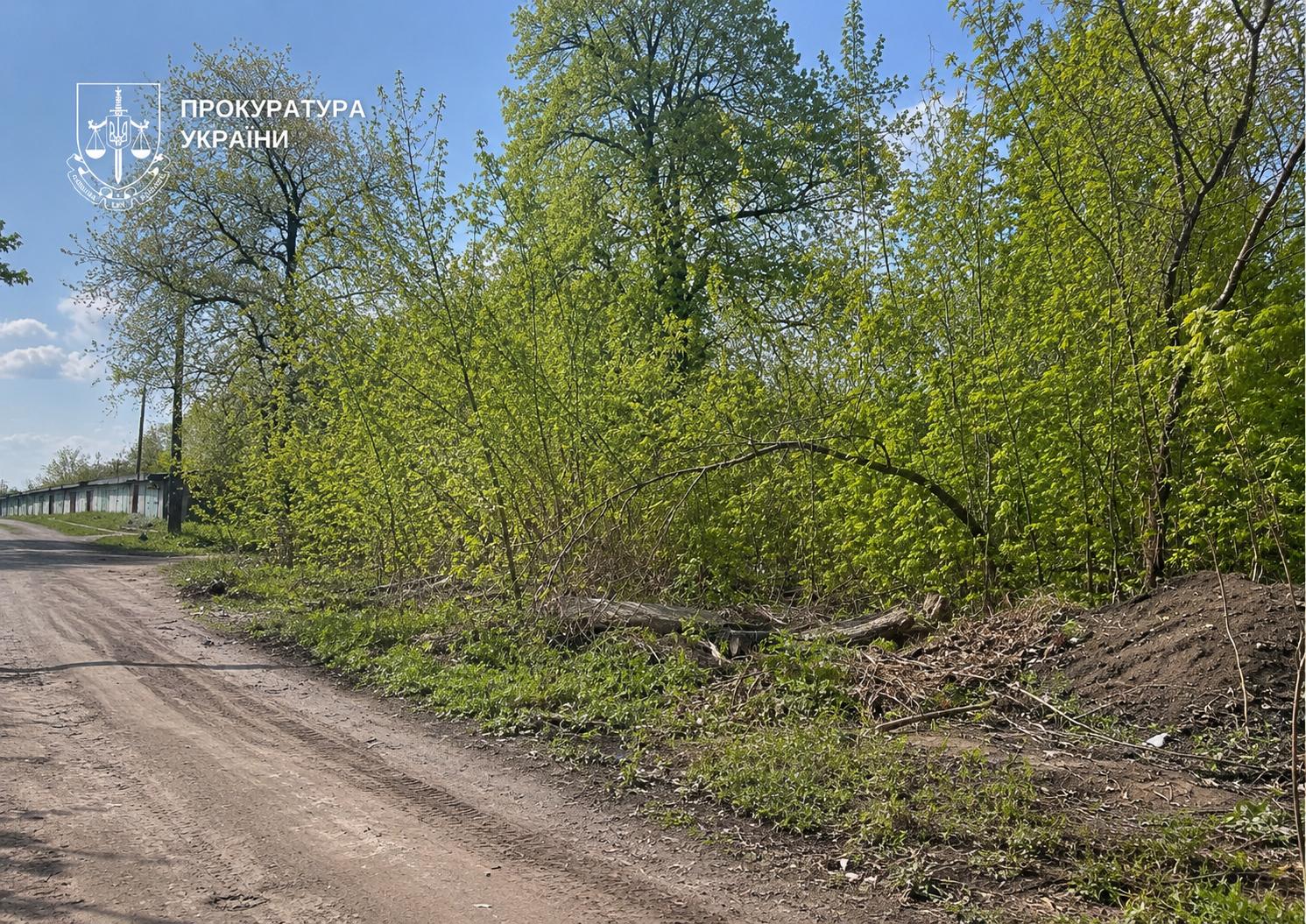 КИЇВ24