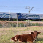 КИЇВ24