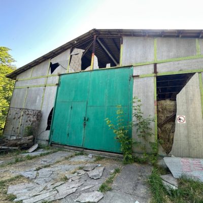 КИЇВ24