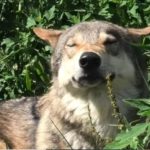 КИЇВ24
